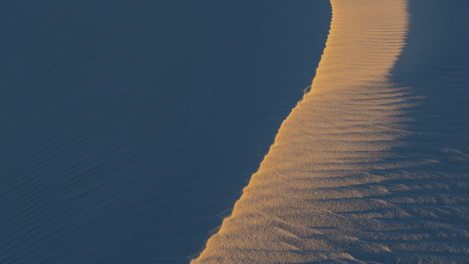 Aerial view of desert dunes with a golden lit ridge